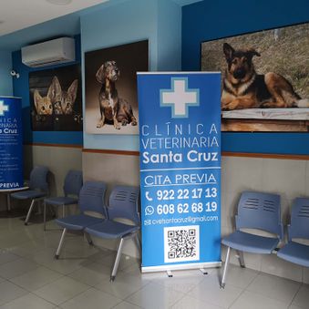Clínica Veterinaria Santa Cruz sala de espera