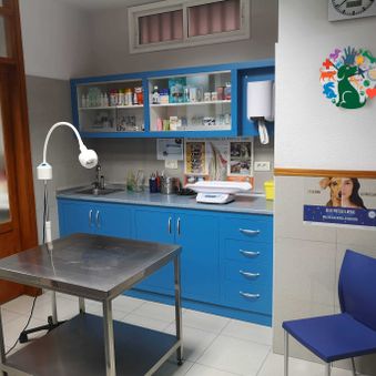 Clínica Veterinaria Santa Cruz sala de revisiones